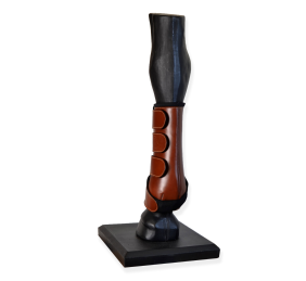 Protectores doma confort 'Los Nietos'