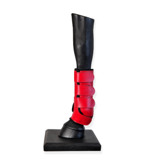 Protectores doma confort 'Los Nietos'