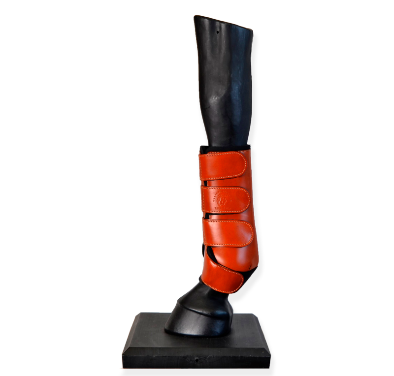 Protectores doma confort 'Los Nietos'