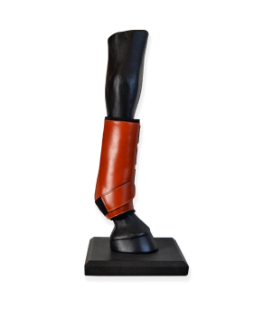 Protectores doma confort 'Los Nietos'