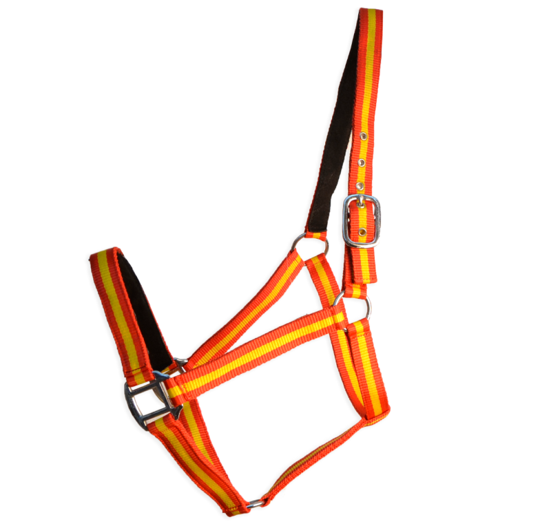 Cabezada cuadra Eco "Los Nietos Dressage"| Varios colores