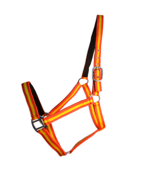 Cabezada cuadra Eco "Los Nietos Dressage"| Varios colores