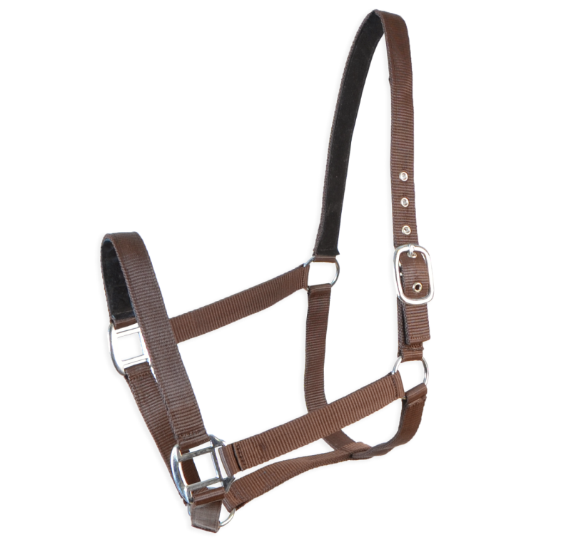 Cabezada cuadra Eco "Los Nietos Dressage"| Varios colores