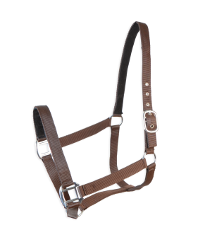 Cabezada cuadra Eco "Los Nietos Dressage"| Varios colores