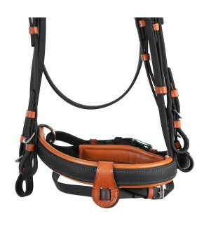 Cabezada inglesa doma "Los Nietos Dressage" con doble rienda Biothane | Negro y avellana