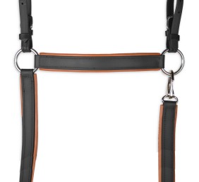 Pechopetral Biothane 'Los Nietos Dressage' | Negro y Avellana