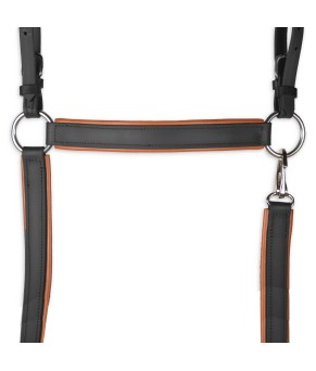 Pechopetral Biothane 'Los Nietos Dressage' | Negro y Avellana