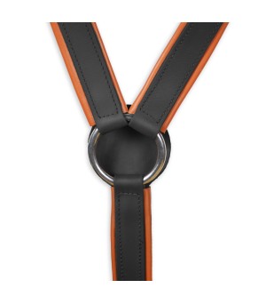 Pechopetral Biothane 'Los Nietos Dressage' | Negro y Avellana