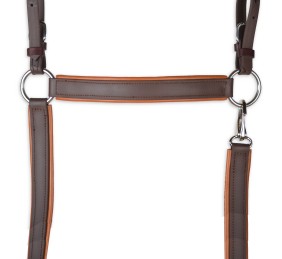 Pechopetral Biothane 'Los Nietos Dressage' | Marrón y avellana
