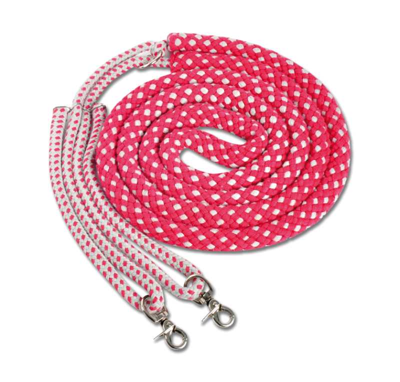 Soporte para ramal Waldhausen