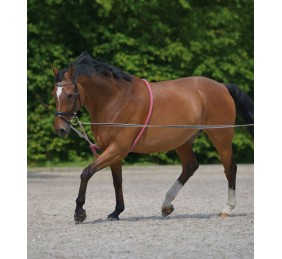 Soporte para ramal Waldhausen