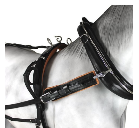 Enganche collarón de cuero y nylon