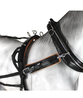 Enganche collarón de cuero y nylon