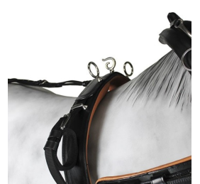 Enganche collarón de cuero y nylon