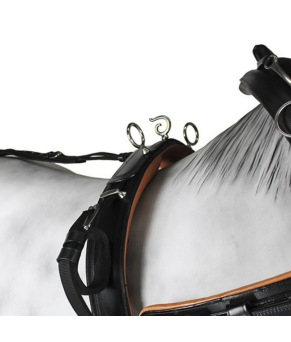 Enganche collarón de cuero y nylon