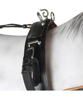 Enganche collarón de cuero y nylon