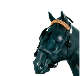 Enganche collarón de cuero y nylon