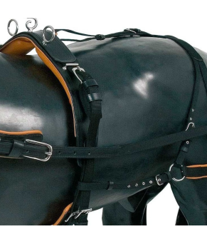 Enganche collarón de cuero y nylon