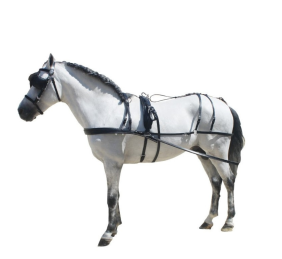 Enganche de cuero para poni y shetland | Negro