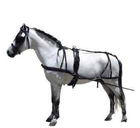 Enganche de cuero para poni y shetland | Negro