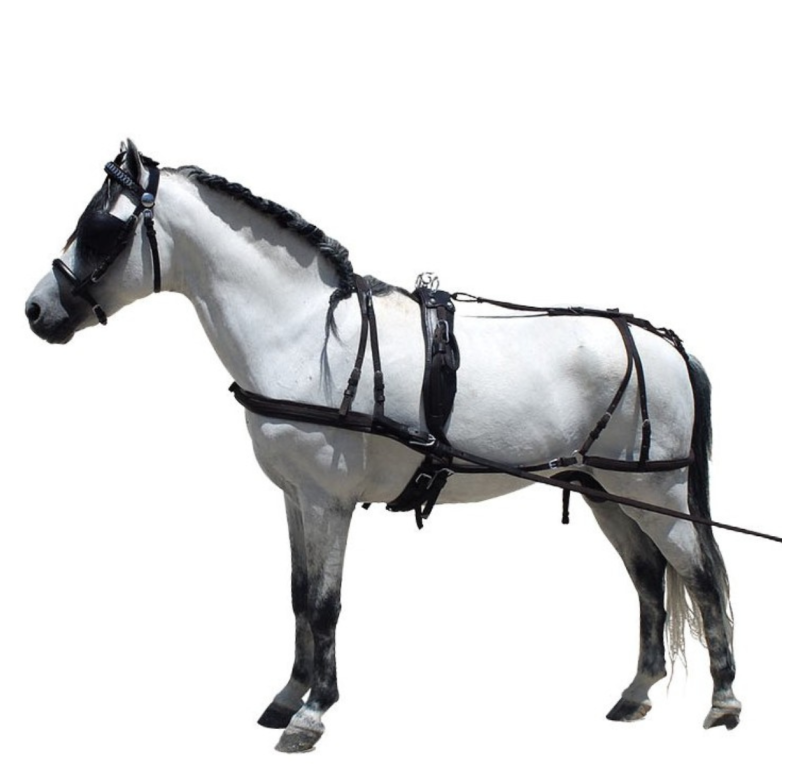 Enganche de cuero para poni y shetland | Negro