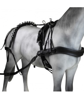 Enganche Calesero Pecherin Eco