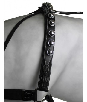 Enganche Calesero Pecherin Eco