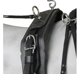 Enganche Calesero Pecherin Eco