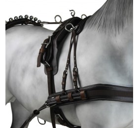 Enganche Calesero Pecherin Eco