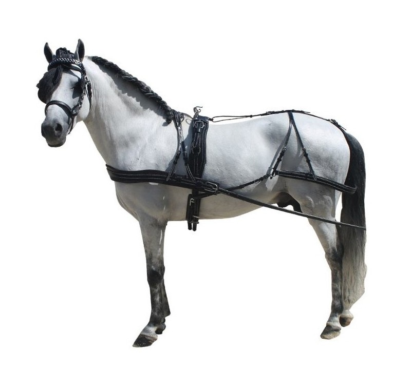 Enganche K Pony Cuero