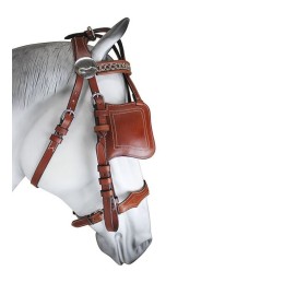 Enganche Pecherín Diplomático