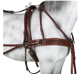 Enganche Pecherín Diplomático