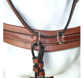 Enganche Pecherín Diplomático