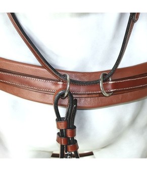 Enganche Pecherín Diplomático