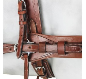 Enganche Pecherín Diplomático