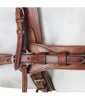 Enganche Pecherín Diplomático