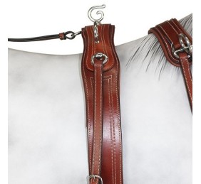 Enganche Pecherín Diplomático