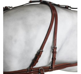 Enganche Pecherín Diplomático