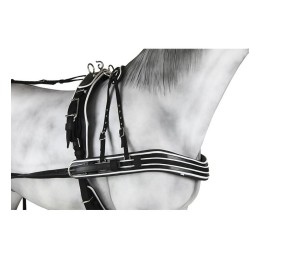 Enganche Sintético Combinado Pecherín Anatómico