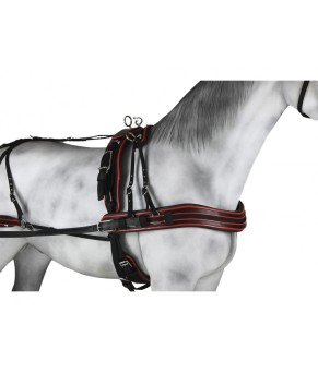 Enganche Sintético Combinado Pecherín Anatómico