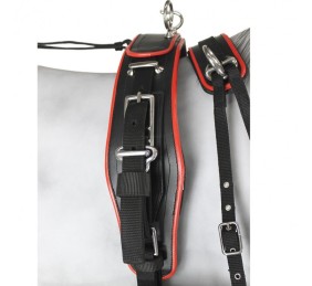 Enganche Sintético Combinado Pecherín Anatómico