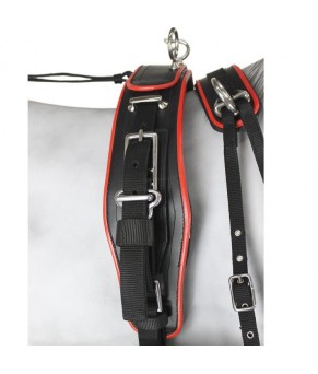 Enganche Sintético Combinado Pecherín Anatómico