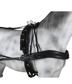 Enganche Sintético Combinado Pecherín Anatómico