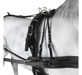 Enganche Sintético Combinado Pecherín Anatómico