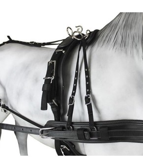 Enganche Sintético Combinado Pecherín Anatómico