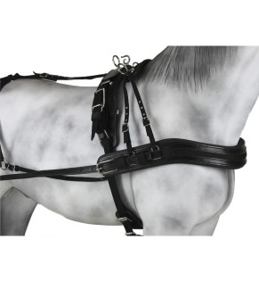 Enganche Sintético Combinado Pecherín Anatómico