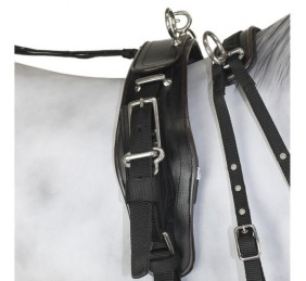 Enganche Sintético Combinado Pecherín Anatómico