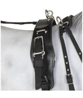 Enganche Sintético Combinado Pecherín Anatómico