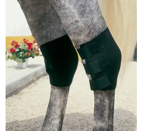 Protector Neopreno TF Corvejón TN-1506 Negro