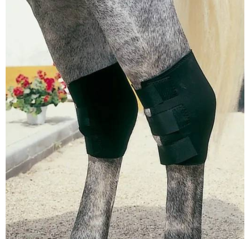 Protector Neopreno TF Corvejón TN-1506 Negro